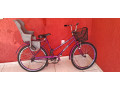bicicleta-poti-small-0