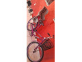 bicicleta-poti-small-1