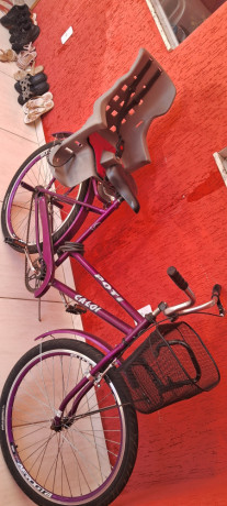 bicicleta-poti-big-1