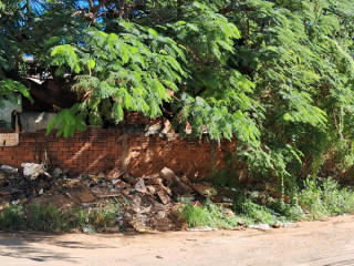 lote-12-por-20-no-atalaia