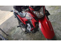 bros-160-ano-2023-small-2