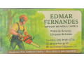 poda-de-arvores-e-limpeza-de-lotes-small-0