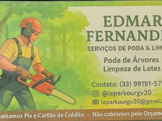 poda-de-arvores-e-limpeza-de-lotes