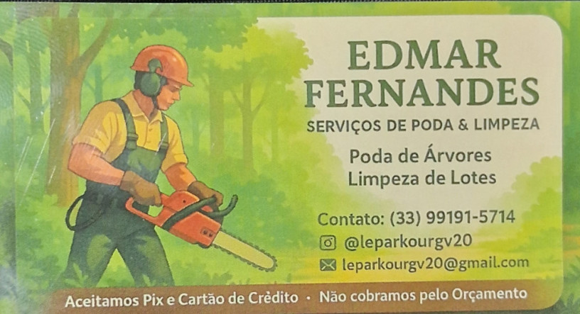 poda-de-arvores-e-limpeza-de-lotes-big-0