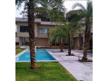 trabalhamos-com-pomar-jardim-e-reflorestamento-small-4