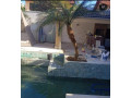 trabalhamos-com-pomar-jardim-e-reflorestamento-small-5