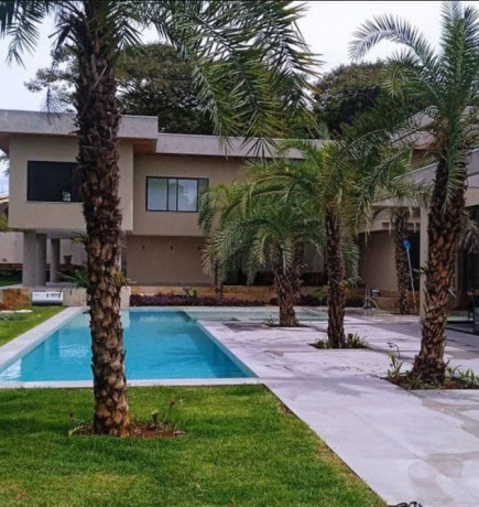 trabalhamos-com-pomar-jardim-e-reflorestamento-big-4