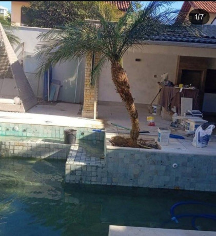 trabalhamos-com-pomar-jardim-e-reflorestamento-big-5